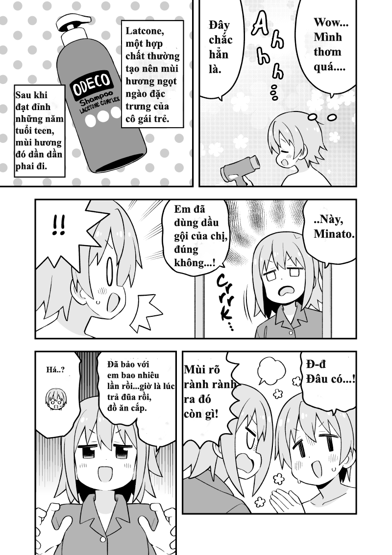 ページ 4